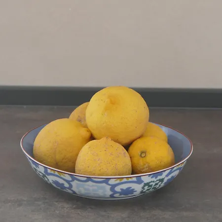 아파트 Citronella