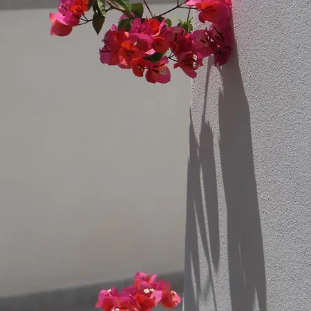 Citronella 아파트 *
